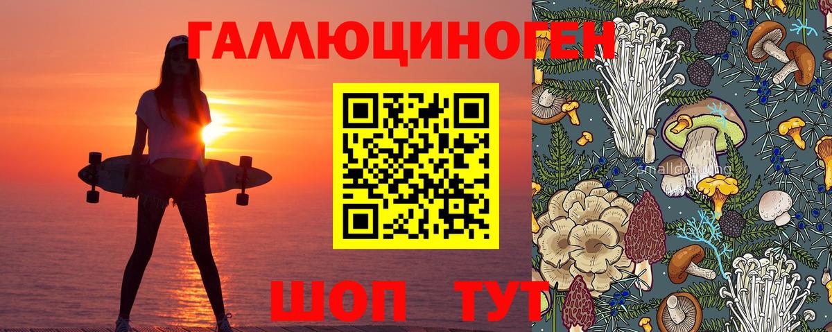 Псилоцибиновые грибы мицелий Ялуторовск