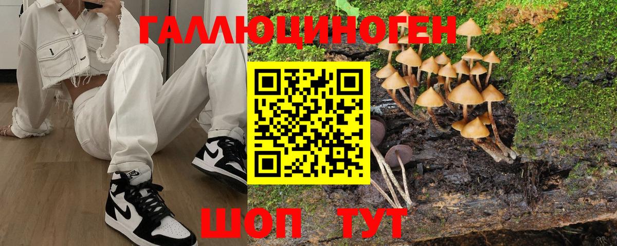 Псилоцибиновые грибы GOLDEN TEACHER  Вход с VPN  Ялуторовск 